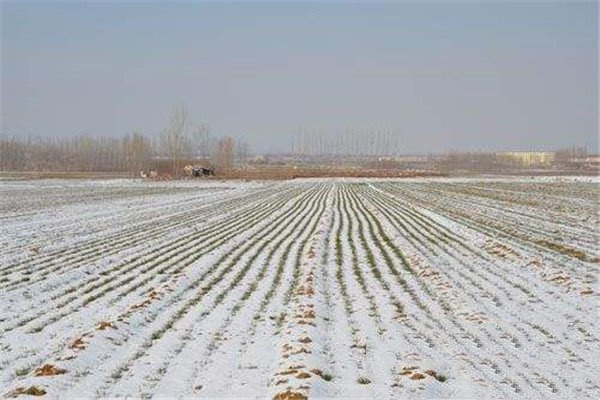 瑞雪能提供土壤水分