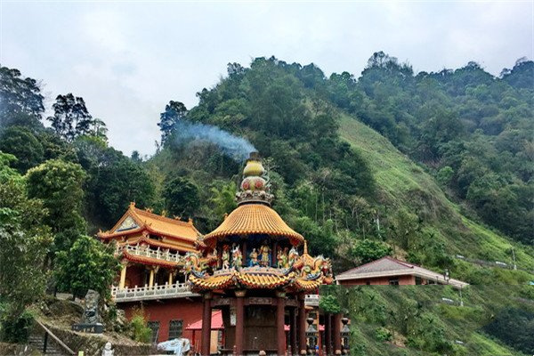 阿里山神木