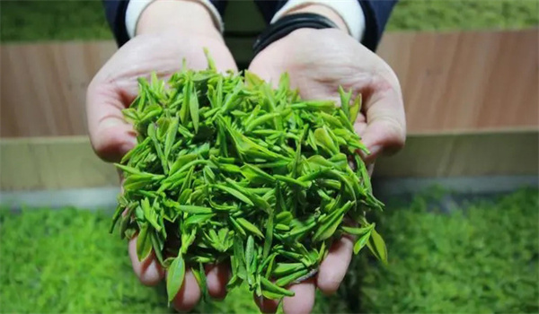 如何能够最简便地分辨茶的真假好假