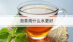 哪种水泡茶更好，泡茶用开水还是温水？