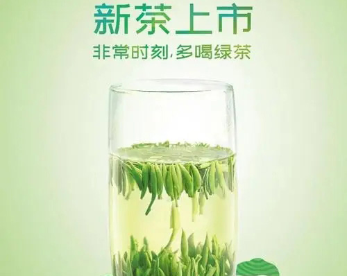 新茶什么时候上市