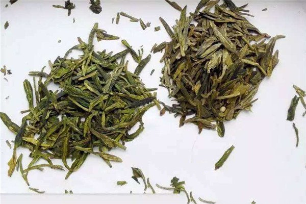 新茶和陈茶